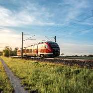 nahsh haltungskampagne 2022 head zug